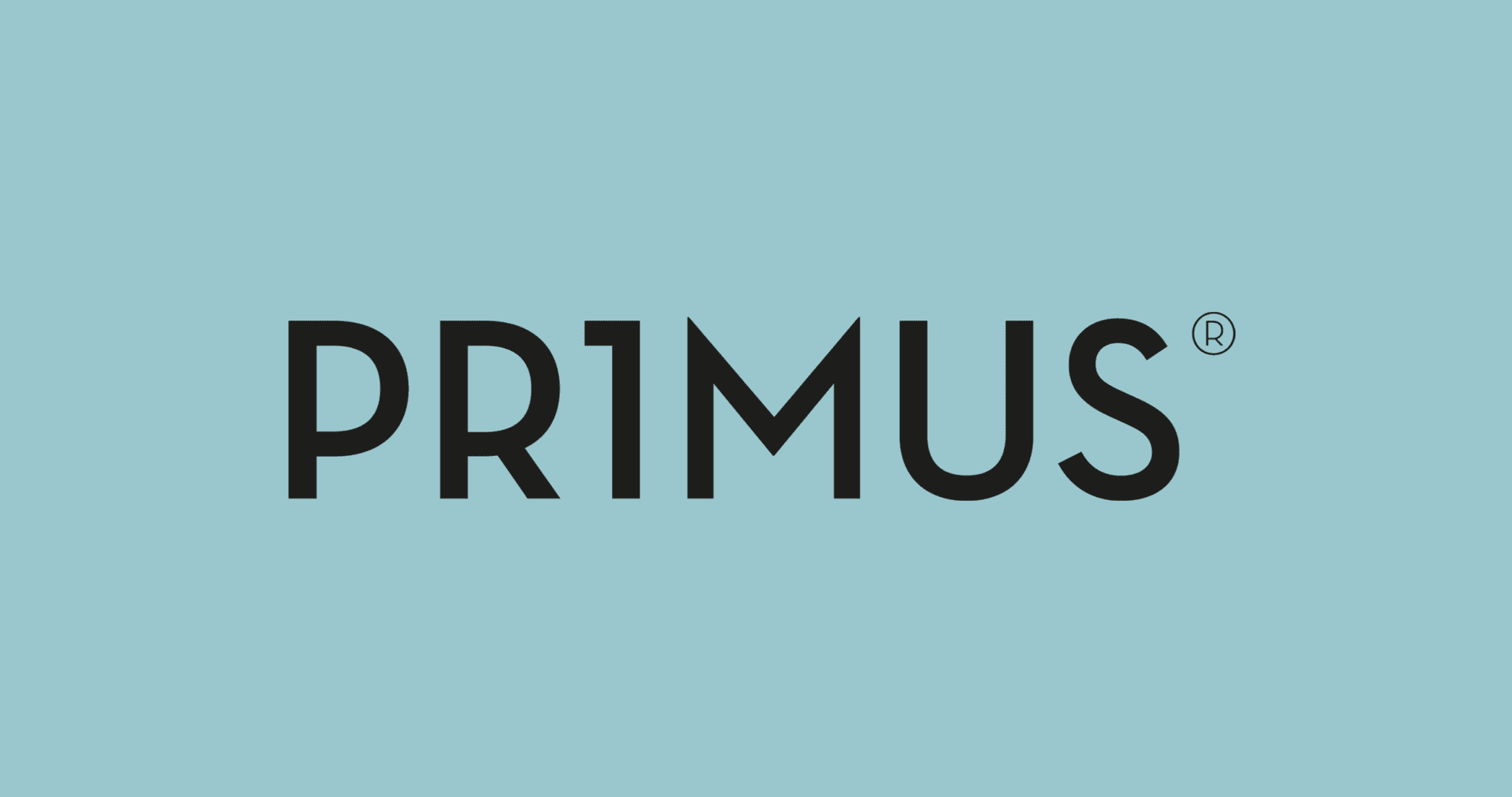 Bild: Primus-Logo_webseite
