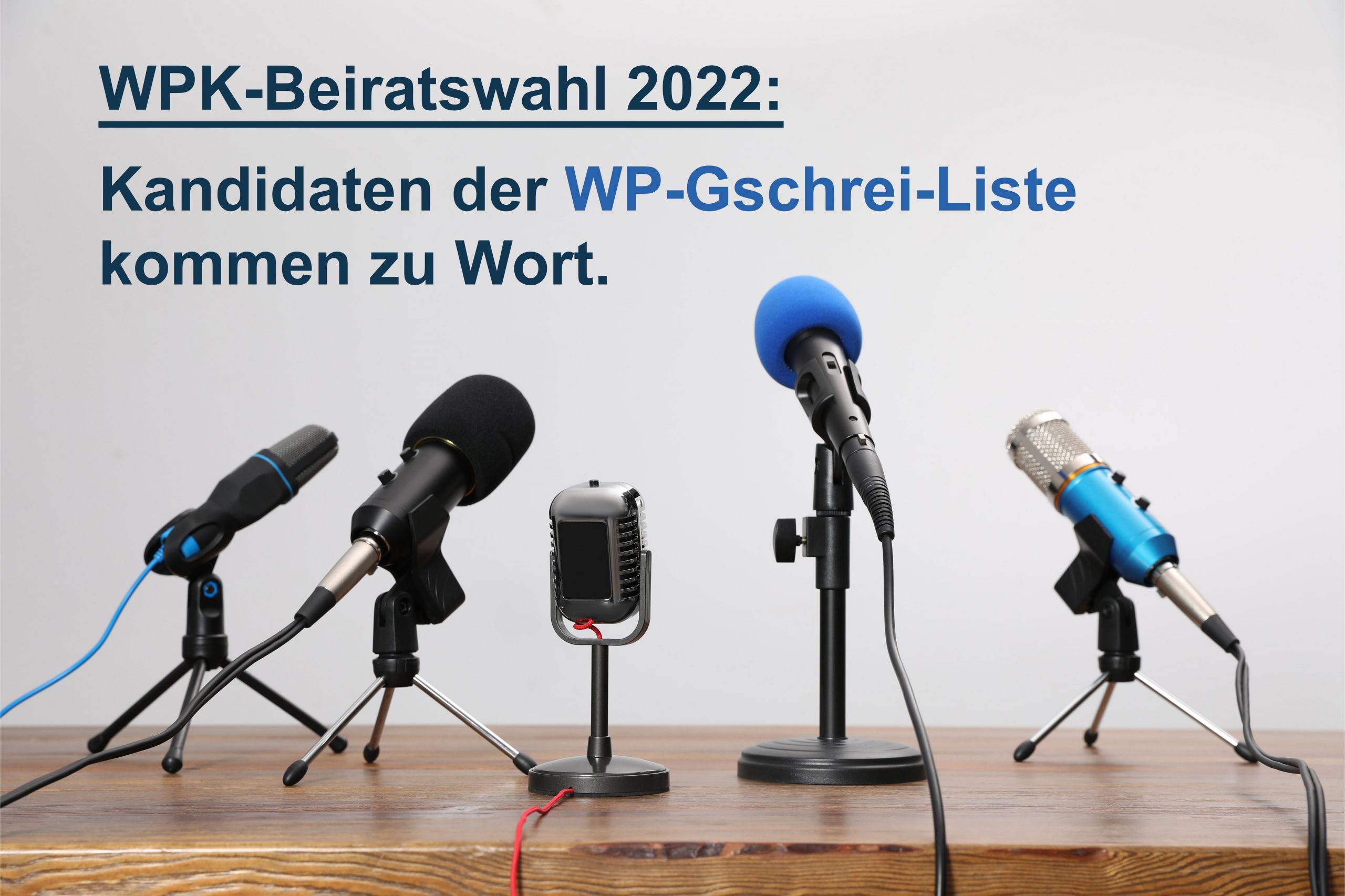 wp.net-Beirats-Kandidaten haben das Wort